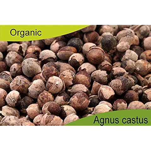 Organic Agnus Castus Berries (500) Cover