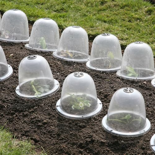 Haxnicks Bell050101 viktorianische Glocke, transparent, 3 Stück