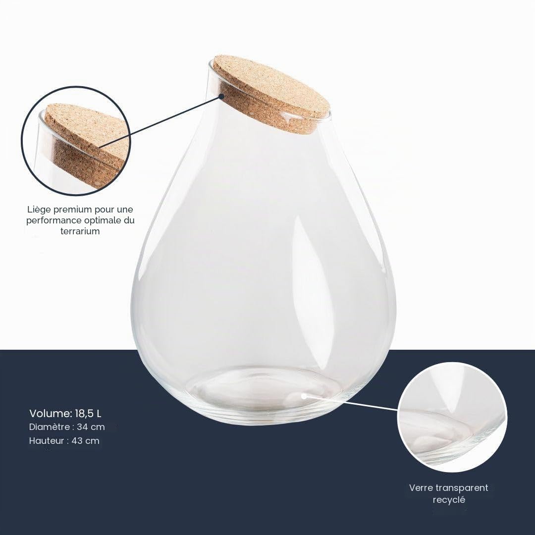 Bouteille de terrarium « Drop XXL » avec couvercle en liège env. 18,5 l - Diamètre de la plante : 34 cm - 43 cm