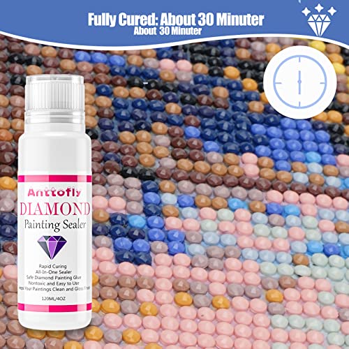 TEGOVE Scellant Pour Peinture Diamant Conserve,Scellant Pour Peinture