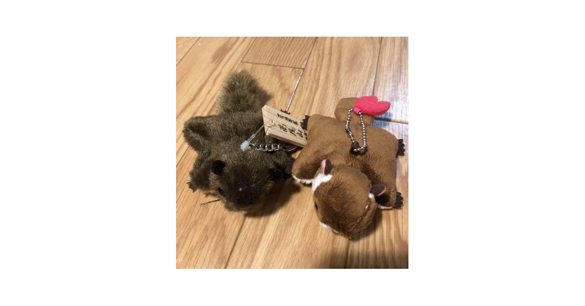 Amazon.co.jp: 高尾山 ムササビ ぬいぐるみキーホルダー 2色