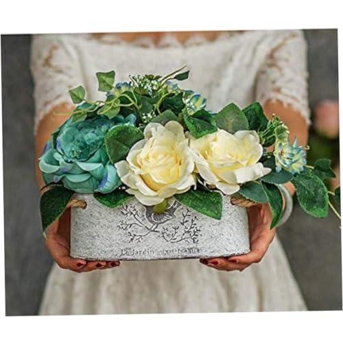 Pots de jar déco avec des poignées pot de fleur vintage - 6