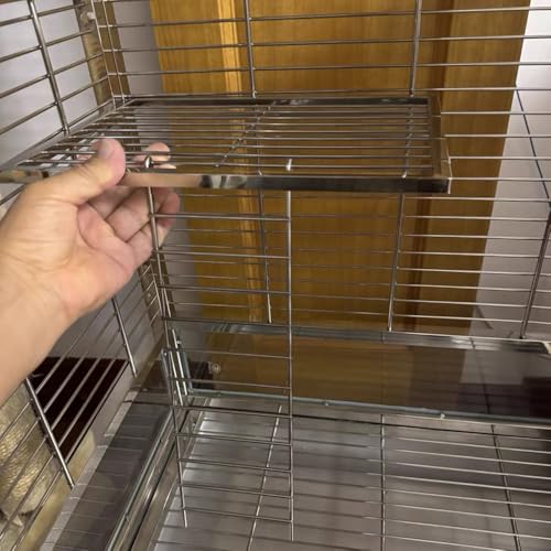 Image of Stainless Steel Bird Platform & Climbing Ladder Set (1 Platform + 1 Ladder) - Durable, Washable Cage Perch for Parakeets, Cockatiels, Conures (L)