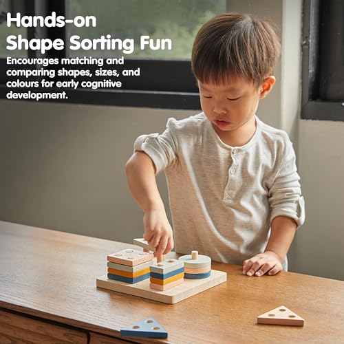 Image of PlanToys Geometric Sorting Board Orchard Shade, Montessori Kids Shape Toy | geometric sorting board orchard shade, montessori shape size colour learning, fine motor problem solving activity, kids toy