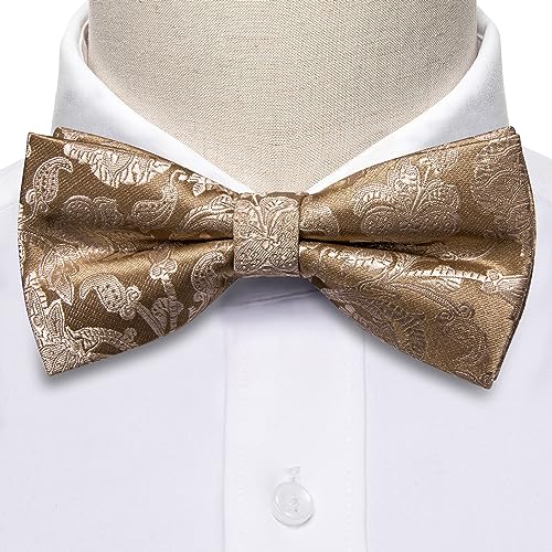 Image of YOHOWA Mens Bow Tie Set Paisley Coloful Pre-tied Bowties Adjustable with Handkerchief Cufflinks Wedding Prom Party