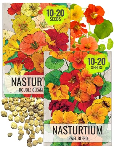 Seed Needs Nasturtium Seeds for Planting Edible Flowers - Collection Set of Jewel Blend & Double Gleam Nasturtiums to Attract Pollinators to a Butterfly Garden - Trailing and Bush Varieties (2 Packs)