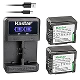 Kastar 2-Pack VW-VBG130 Battery and LED2 USB Charger Compatible with Panasonic VDR-D230 VDR-D310 VDR-D58GK Lumix DMC-L10 DMC-L10K DMC-L10KEB-K DMC-L10KEG-K AG-AC7 AG-AF100 AG-AF105A AG-AC130 Camera