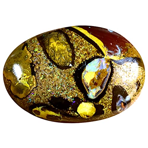 Koroit australien Boulder Opal de 12.09 ct pierre précieuse multicolore naturelle 18 x 12 mm