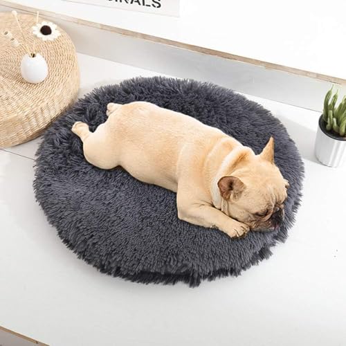 ۂybgxbh ybgpbhEh^ ی^ LNbV ybg}bgybg\t@ g~ h 􂦂 Lp^p (_[NO[CM a50cmA4cm)