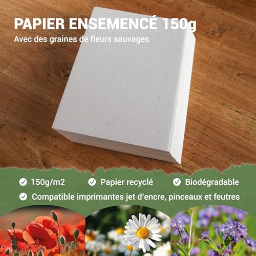 BLOOMING 10 Blatt A6 150g/m² Saatpapier 10,5 x 15 cm Virgin Weiß, biologisch abbaubare Wildblumensamen für Einladungskarten, Bedrucken, 10 Stück