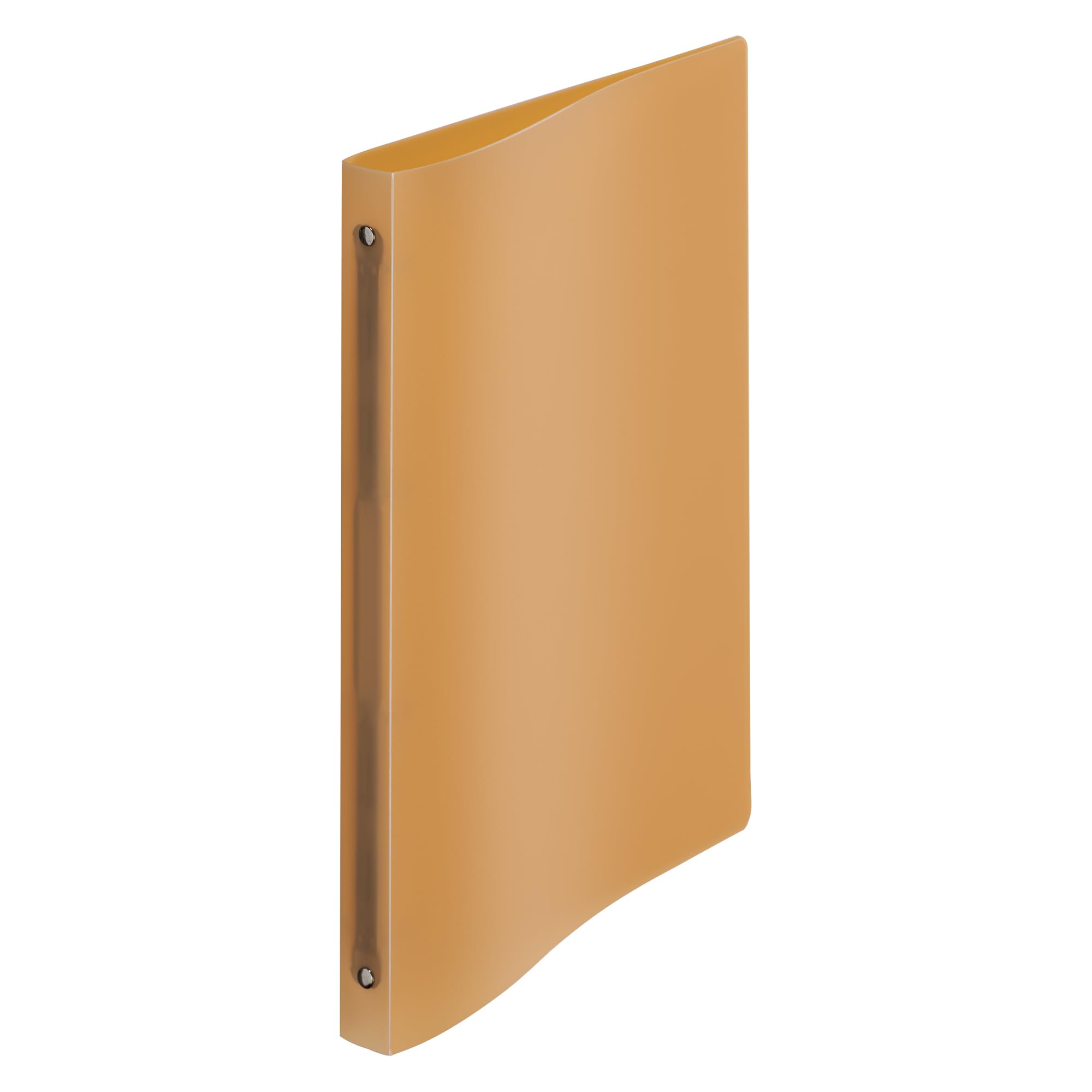 Classeur 4 anneaux plastique Viquel A4 dos 2 cm couleurs pastels translucides assorties (lot de 12)