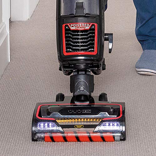 Shark NZ801UKTSB, Handstaubsauger, rot/schwarz - Image 7