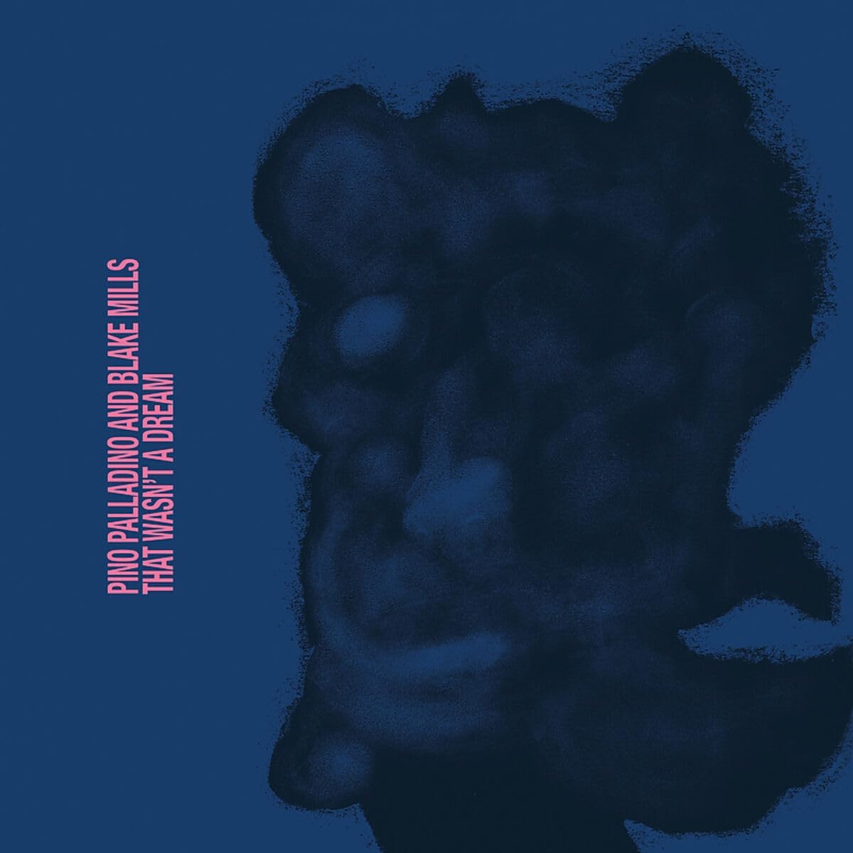 That Wasn't A Dream [VINYL]