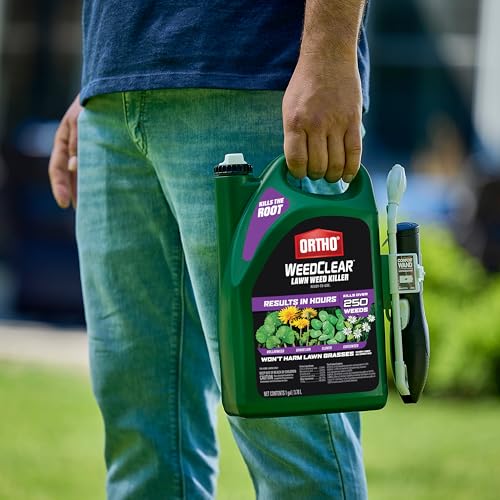 image for Ortho WeedClear Lawn Weed Killer Ready-to-Use1 with Comfort Wand (Sout