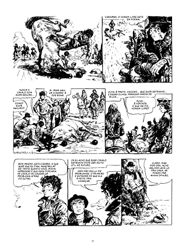 HP – Graphic Novel Volume Único