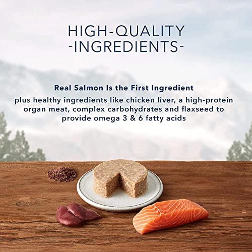 Image of Blue Buffalo Wilderness Natural High Protein Grain Free Wet Food for Kittens,Salmon Pate,3-oz,(Pack of 48)