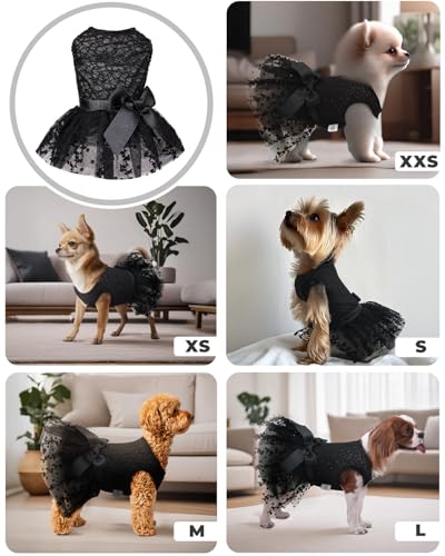 Image of CuteBone Dog Birthday Dress Girl Puppy Skirt Tutu Cat Wedding Outfit Pet Party Clothes for Small Dogs Costume DD15S