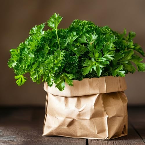 semi di prezzemolo resistenti, regali sostenibili per letti alle erbe piante aromatiche piante decorative semi rari erbe semi vasi per piante piante da giardino roccioso resistenti 800pcs