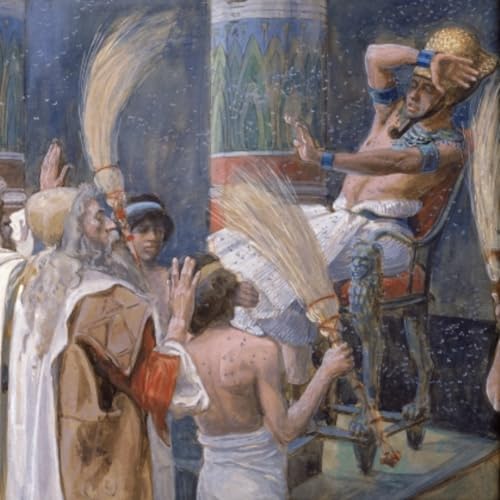 Vaera: No Freedom to Choose Titelbild