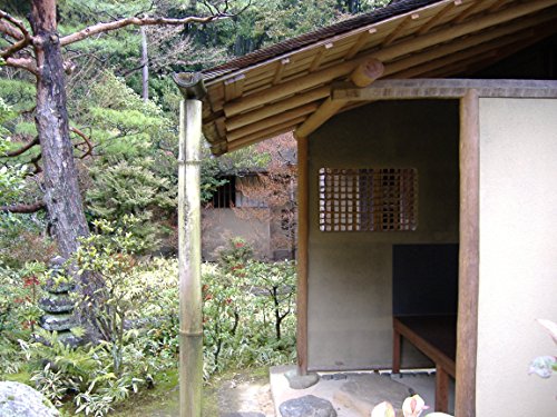 オライリー 無料電子書籍 無名茶碗(写真集): 埋もれている名碗を掘り出す やきものと茶の湯 バイ