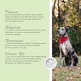 Annimally Amino Boost Muskelaufbau Tabletten für Hunde - 120 Aminosäuren Tabletten mit 9 Inhaltsstoffen u.a. mit Protein & Magnesium zum gezielten Aufbau der Muskulatur bei Hunden