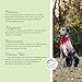 Annimally Amino Boost Muskelaufbau Tabletten für Hunde - 120 Aminosäuren Tabletten mit 9 Inhaltsstoffen u.a. mit Protein & Magnesium zum gezielten Aufbau der Muskulatur bei Hunden