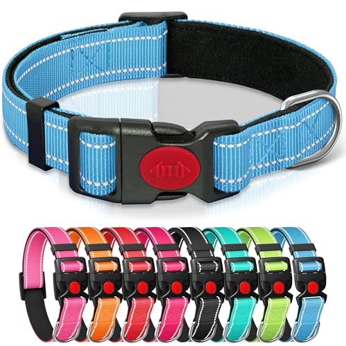 Reflective Nylon Dog Collar with Safety Buckle S/M/L