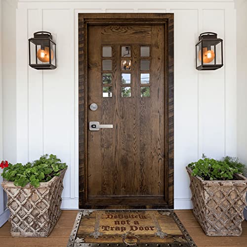 Definitely Not A Trap Door Doormat Funny Front Door Mat Outdoor Indoor Entryway Floor Mat Welcome Mats Home Decorative #TOP6