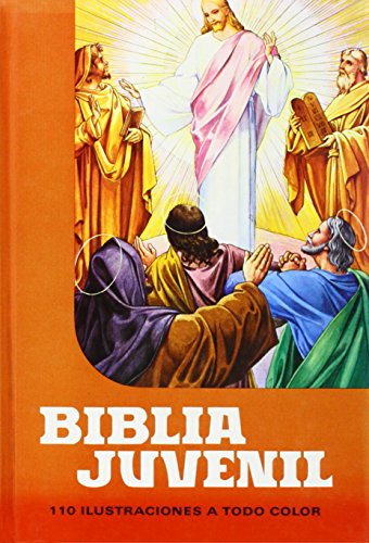 Biblia Juvenil 1 tomo Mod. 1 [Spanish] 8471890011 Book Cover
