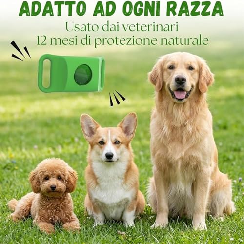 Collier anti puce et tique pour chien bleu avec 4 capsules