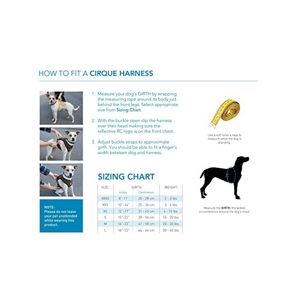 RC Pet Products Cirque Soft Walking Dog Harness, 3X-Small, Black RC Pet Products Cirque Soft Walking Dog Harness, 3X-Small, Black