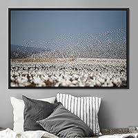 Framed Canvas Wall Art Flying Together Birds Farmhouse/Country Group Group Multicolor Photography Realism Relax/Calm Warm - 16x24 inches