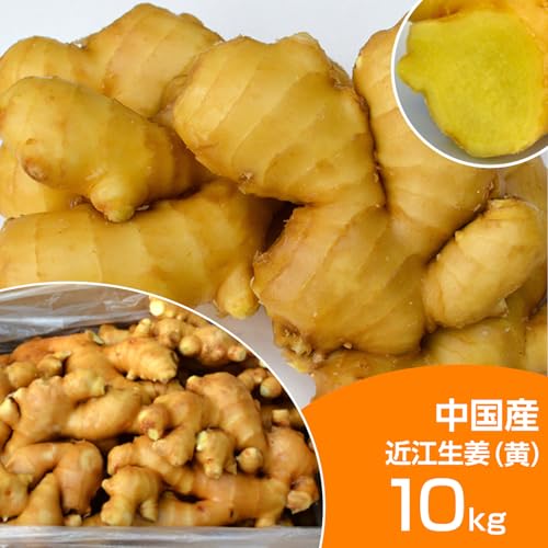 食用 中国産 黄金生姜 10kg(近江生姜 黄色)