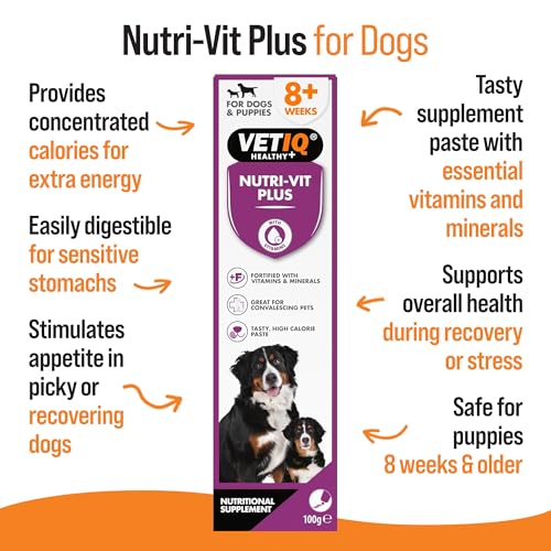 VETIQ Nutri-Vit Plus Vitamin Supplement Paste For Dogs & Puppies, Helps to Provide Extra Energy & Nutrition For Poor Eaters And Support When Off Their Food, 100 g (Pack of 1) - Image 4