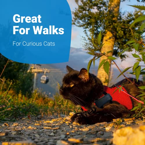 Tractive Gps Cat 4 Tracker Harness Attachment, For Cat Walks With Peace Of Mind, Velcro Straps, Black #TOP4