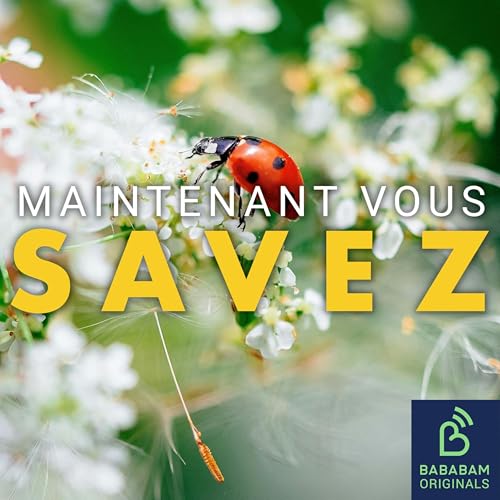 O&ugrave; sont les insectes en hiver ?