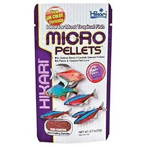 Hikari Tropical Semi-Floating Micro Pellets Fish Food, 0.77 Oz (22g)