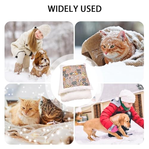 Abri de nuit pour chat avec doublure thermique pour l'hiver