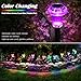 Priddop Solar Lights Outdoor Pathway Waterproof 8 Pack Color Changing LED Acrylic Mushroom Decorative Garden Lights for Yard Landscape Patio Outside Decorations