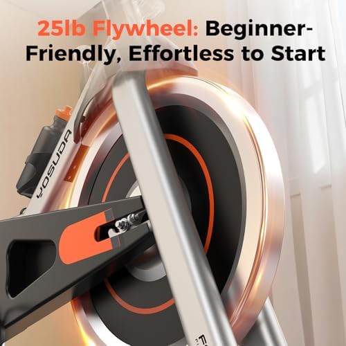 YOSUDA Exercise Bike, Brake Pad Stationary Bike for Home with Exclusive App, Magnetic Indoor Cycling Bike with 300 lb Weight Capacity, Low Noise, Tablet Holder and Fitness Courses for Weight Loss, Friction-Black 2
