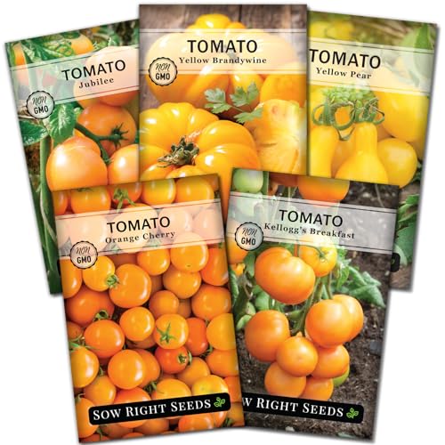 Sow Right Seeds - Yellow and Orange Tomato Seed Collection for Planting - Brandywine, Jubilee, Kellogg’s Breakfast, Yellow Pear & Cherry - Non-GMO Heirloom Varieties to Plant a Home Vegetable Garden