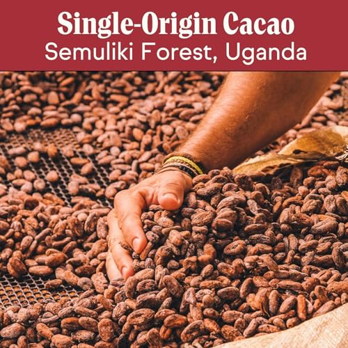 Raaka Oat Milk Mini Chocolates | 58% Cacao Vegan Milk Chocolate | Organic, Vegan, Gluten Free | Box of 100 Individually Wrapped Chocolates
