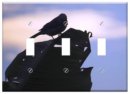 Switch Plate Triple Toggle - Landscapes Area Kettle Quindio Colombia