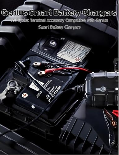 2 Pack M10 24inch Wires Harness Compatible with NO-CO GC008 X-Connect, Genius Smart Battery Chargers Extension Eyelet Terminal Accessory