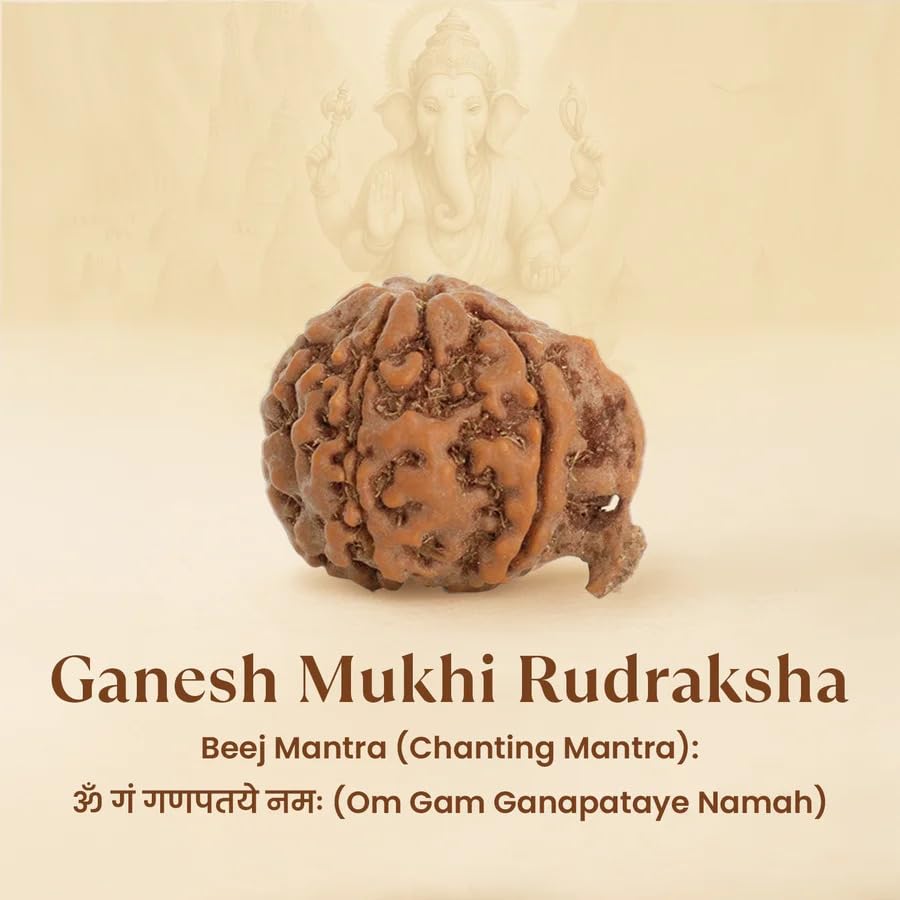 Image of Astrotalk Ganesh Mukhi Rudraksha | Remove Obstacles & Unlock Success | Wisdom, Protection & Confidence | Sacred Rudraksha Bead for Women & Men