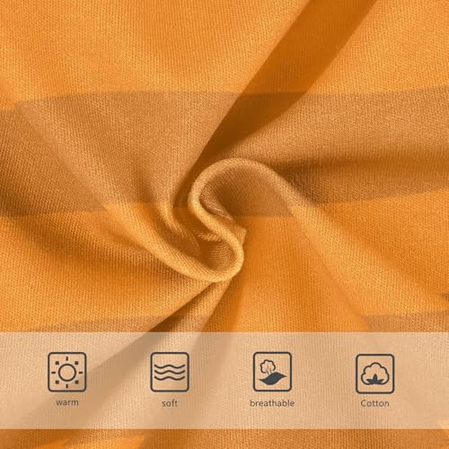 Orange Brown Stripe Toddler Boy's Underwear 2T3