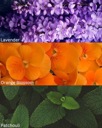 Image of TOXICMALE hawas + libre | PerfectLong lasting Unisex perfume For Date | perfumes for men & women | perfume for him & her | Gift for him & her | TMA18 | 50 ml perfume | TM Perfume House