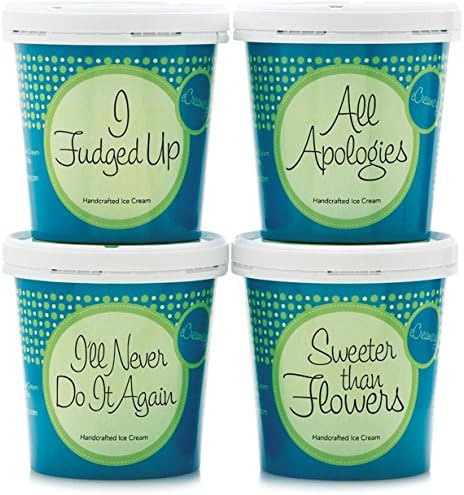 I'm Sorry Ice Cream Gift - Gourmet Specialty Handcrafted eCreamery Premium Ice Cream 4 Pack