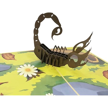 Carte De Voeux 3d Pop Up Scorpion Pour Anniversaire Felicitations Bon Animal Scorpion 018 Amazon Fr Fournitures De Bureau