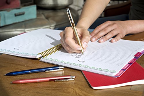 Zebra Pen Sarasa Grand Retractable Gel Ink Pen, Rose Gold Barrel, Medium Point, 0.7Mm, Black Ink, 1-Count (45311) #TOP2